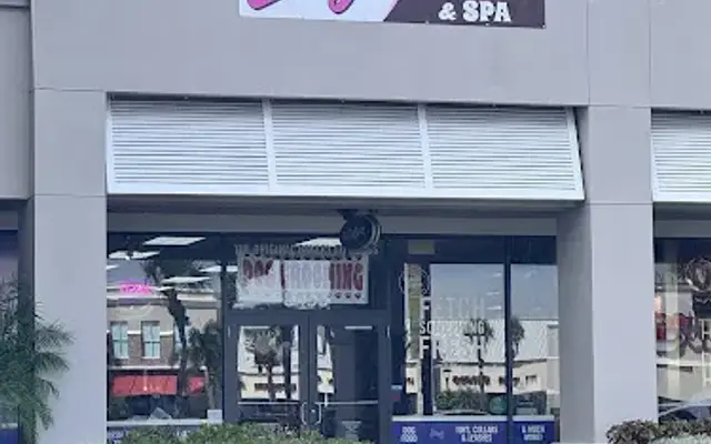 Lucy's Dog Bakery & Spa (Formally Three Dog Bakery & Grooming) in Bradenton, FL