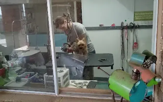 Lucky Dog Grooming in Kimberling City, MO