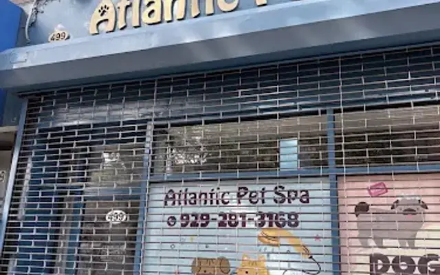 Atlantic Pet Spa in Brooklyn, NY