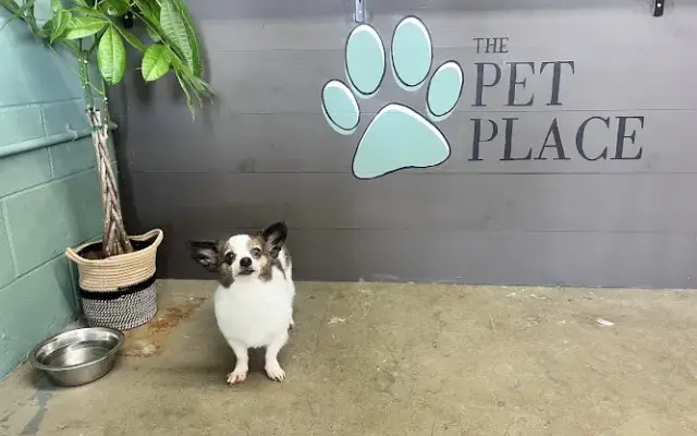 The Pet Place - Grooming in Piedmont, SC