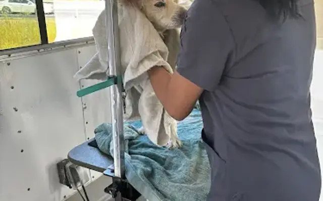 Love my groomer ca in Oxnard, CA