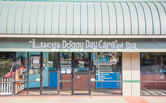 Lucy's Doggy Daycare and Spa - Thousand Oaks in San Antonio, TX