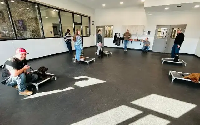 Ugly Dog Boarding, Daycare & Training in Goodrich, MI
