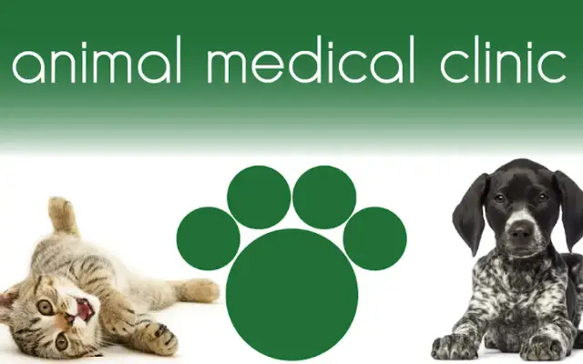 Animal Medical Clinic in Bountiful, UT