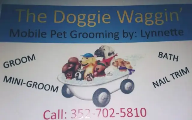 The Doggie Waggin' Mobile Pet Grooming in Leesburg, FL