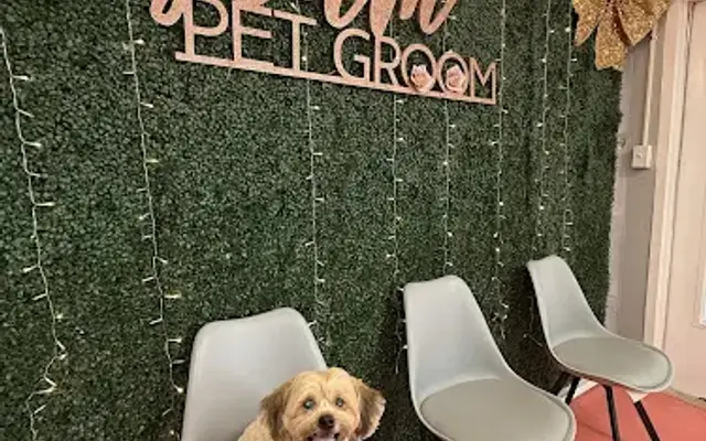 Glam Pet Groom in San Antonio, TX