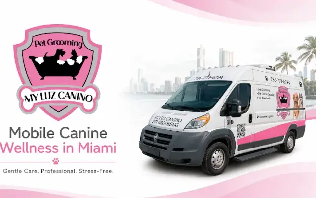 My Luz Canino Pet Groomer in Miami, FL