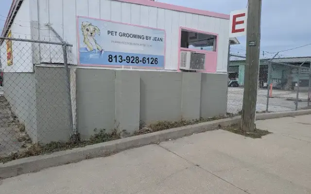 Pet grooming in Oldsmar, FL