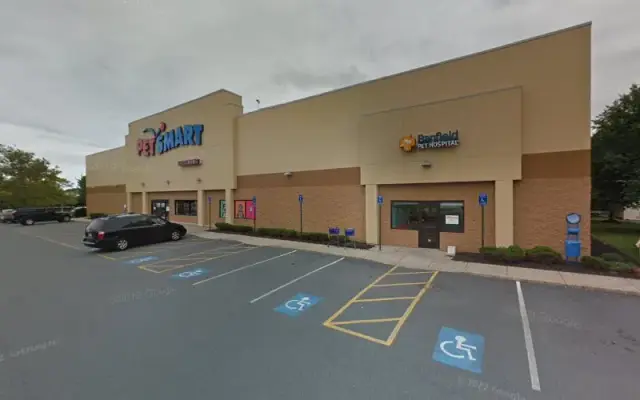PetSmart Grooming in Danvers, MA