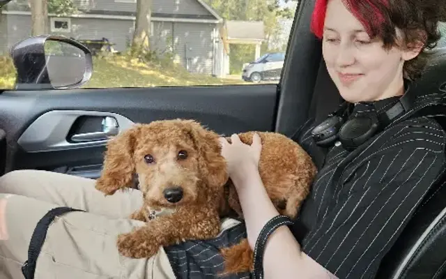 Fur Babies Dog Grooming in Goshen, IN