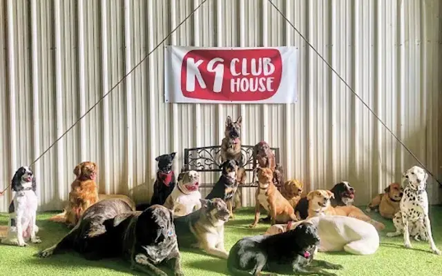 K9 Clubhouse Dog Daycare in Spring, TX