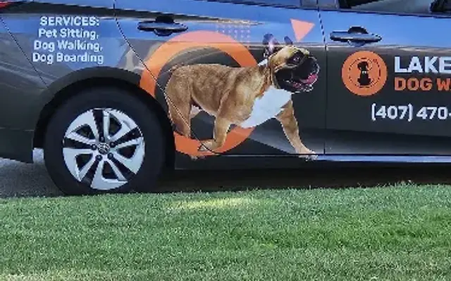 Lake Nona Dog Walkers in St Cloud, FL