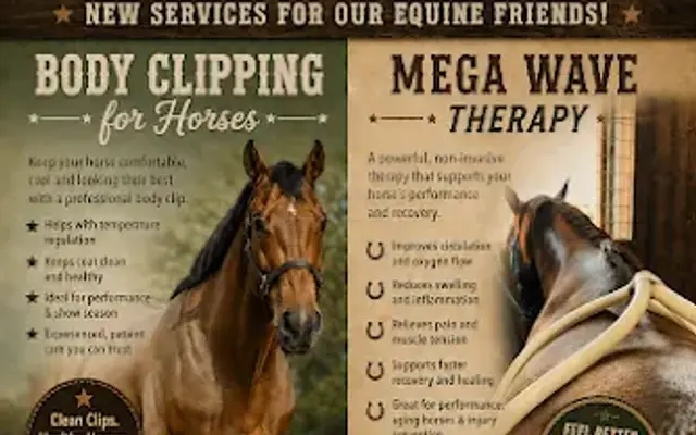 Ranch House Grooming in Prescott Valley, AZ