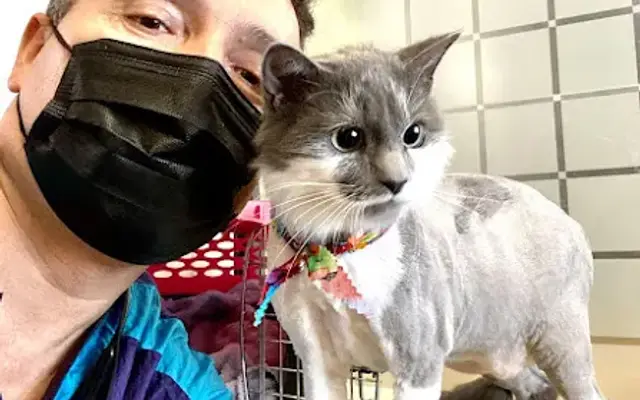 Mobile Pet Grooming Florida in Winter Park, FL