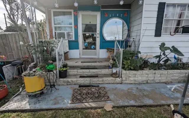 Debbie's Doggie Spa in Sebring, FL