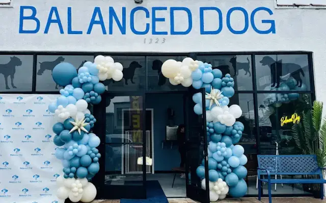 Balanced Dog Grooming in Venice, CA