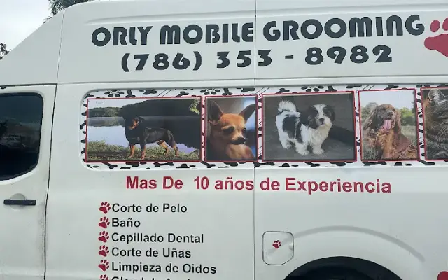 Orly_Mobile_Grooming in Miami, FL