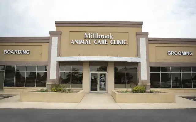 Millbrook Animal Care Clinic in Geneva, IL