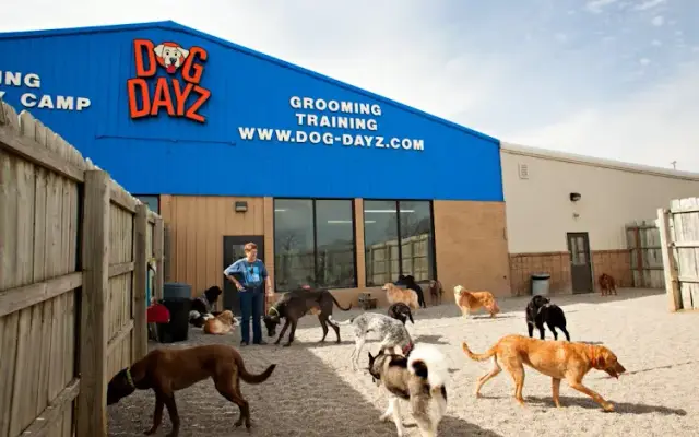 DogDayz in Noblesville, IN