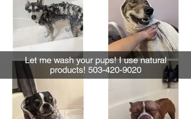 Cleanest Pup LLC in Silverton, OR