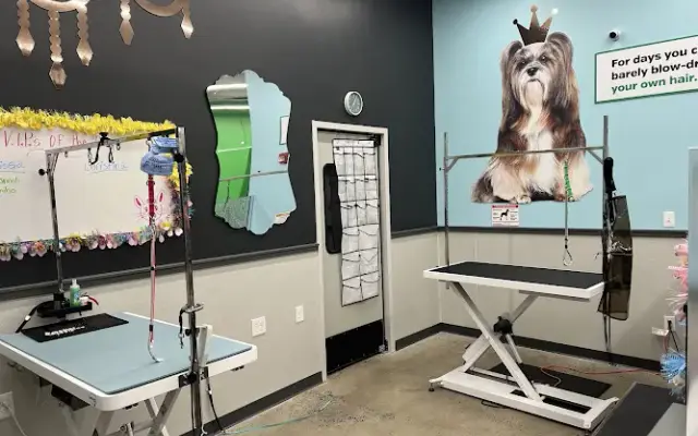 Pet Supplies Plus Tinton Falls Grooming in Tinton Falls, NJ