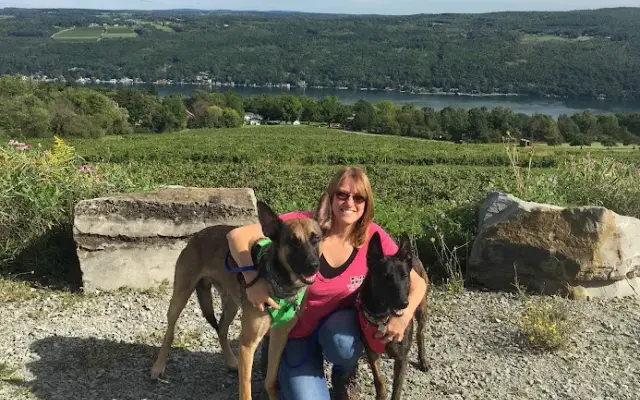 K9 Innovations in Walnutport, PA