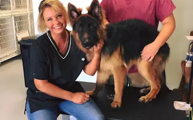 Southern Tails Pet Grooming in Sanford, NC