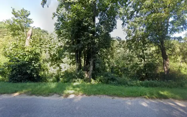 Creature Comforts Kennel in Ridgeway, WI
