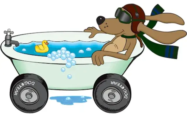 Woof and Wheels in Raleigh, NC