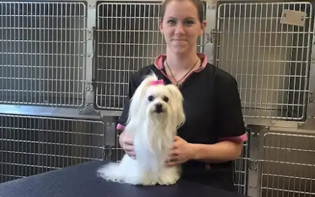 Country Canine Pet Salon in McMinnville, TN