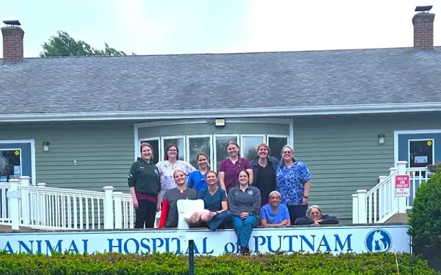 Animal Hospital of Putnam in Putnam, CT