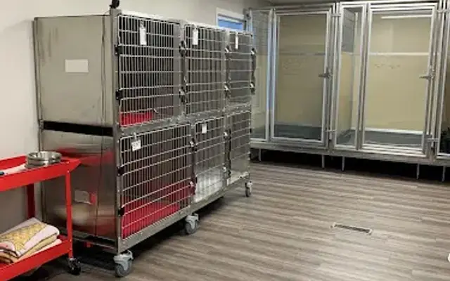 Miller Vet Play and Stay in Marietta, GA