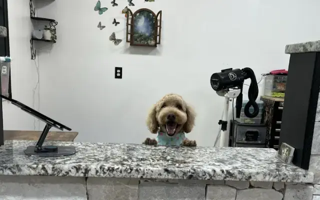 Furrytails Luxury Pet Spa in Excelsior Springs, MO