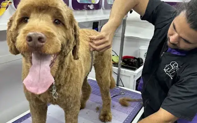 Hug and Trim Mobile Grooming in San Mateo, CA