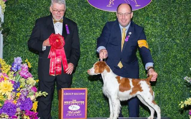 Hope's Kennels Inc in Blairstown, NJ