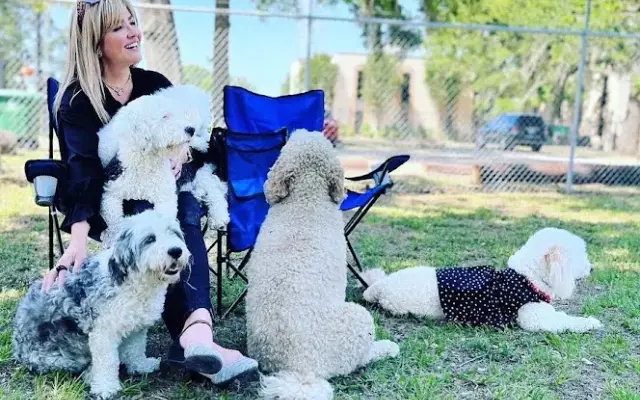 All Paws Academy Resort in Houston, TX