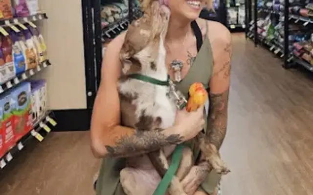 Pawsitively Furrtastic in Taylors, SC