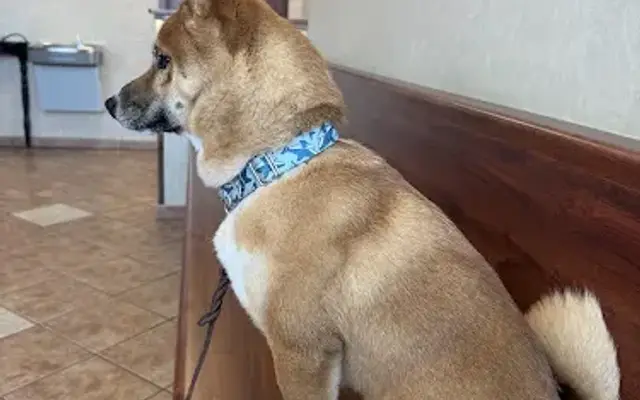 Kiel Veterinary Clinic in Kiel, WI