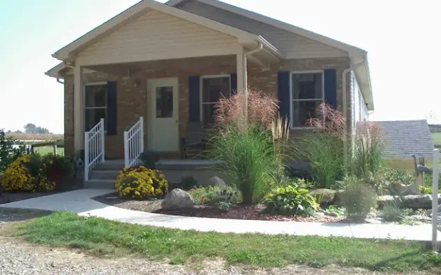 Denise's Animal House in Lebanon, OH