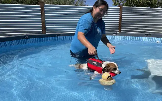 WOOF! Wellness Center & Training Academy in Santa Clara, UT