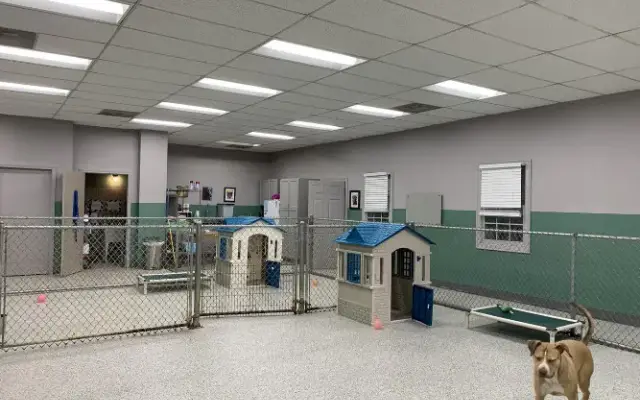 Bark Avenue Pet House in Milford, CT