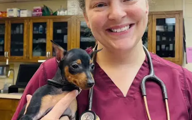 Veterinary Associates in Tulsa, OK