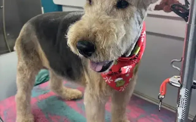 Sheri’s Pampered Pets in Flanders, NJ