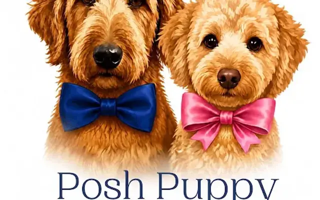 Posh Puppy Grooming Salon in Chambersburg, PA