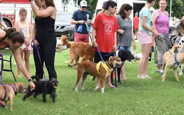 Puppy Luv Dog Boutique & Spa in Sykesville, MD