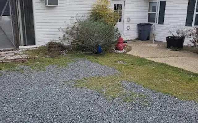 Weeping Willow Kennels in Salisbury, MD