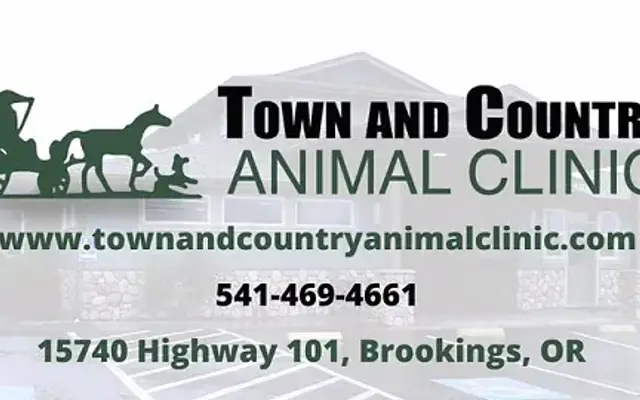 Town & Country Animal Clinic in Brookings, OR