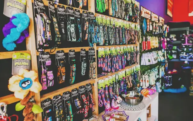 Splash and Dash Groomerie & Boutique in Southern Pines, NC