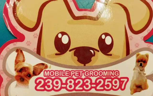 Prestige doggies inc in Naples, FL