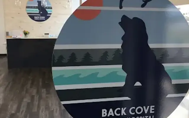 Back Cove Animal Hospital in Portland, ME